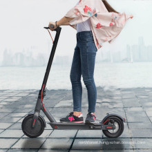 Balance Cheap Motor Tricycle Fat Tire 800W Self New Foldable 2 Three Wheel Electric Scooter